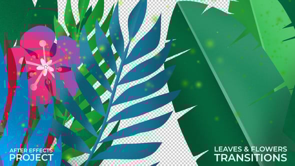 Videohive Leaves & Flowers Transitions