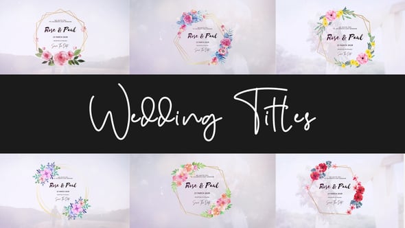 Videohive Wedding Titles 57172657