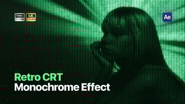 Videohive Monochrome Monitor CRT Effect