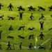 Videohive 40 Animated Fitness Pictograms | Premiere Pro MOGRT