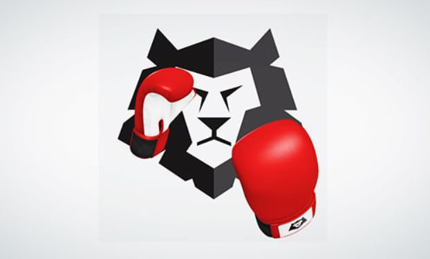 Videohive Boxing Gloves (Punch It!)