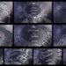 Videohive Elegant 3D Titles for After Effects