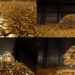 Videohive Golden Treasure Logo Reveal