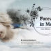 Videohive Photo Memory Slideshow For Premiere Pro