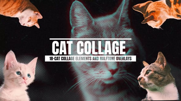 Videohive 18-Cat Collage Elements And Halftone Overlays