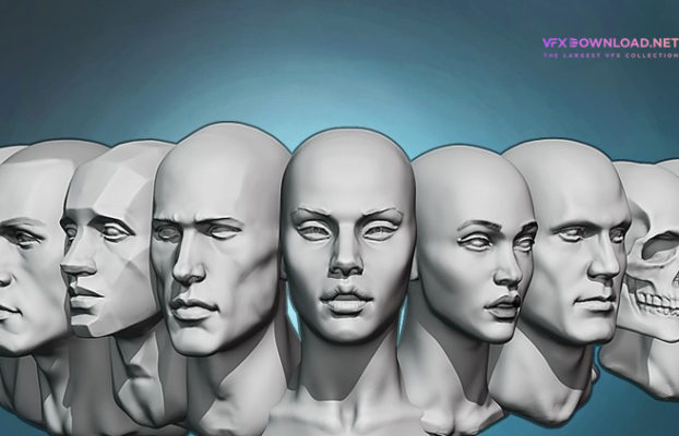 Udemy – Noob’s Guide to Head sculpting in Blender