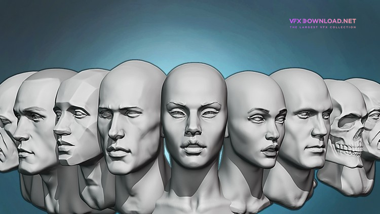 Udemy – Noob’s Guide to Head sculpting in Blender