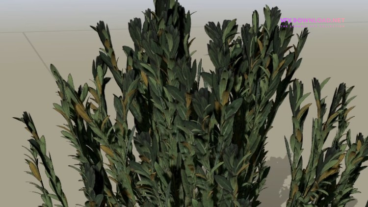 Udemy – SpeedTree Foliage Guide Creating 3DGrass and Bushes for UE5