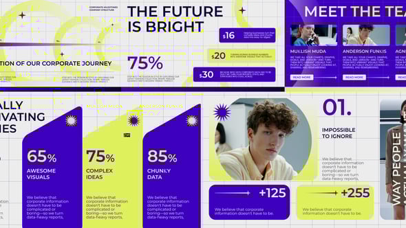 Videohive Corporate Infographic 57709992