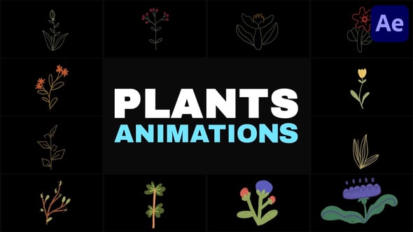 Videohive Nature Plants Kids Drawings Animation for After Effects