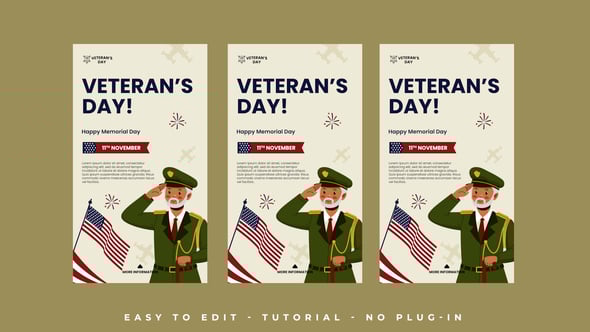 Videohive Veteran Day Instagram Stories