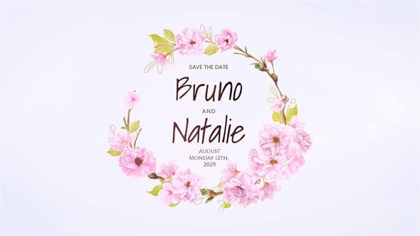 Videohive Wedding Titles 57614065