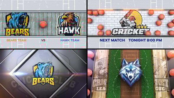 Videohive Cricket Bumper 4 (4-Bumpers)
