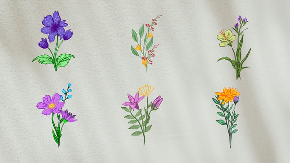 Videohive Flower Animation Elements