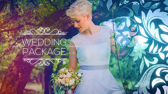 Videohive Wedding Package 22669041