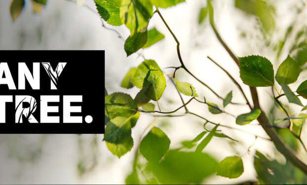Blender Market Anytree – Trees With Any Shape v2.1.2