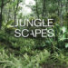 Blender Market - Jungle Scapes For Blender