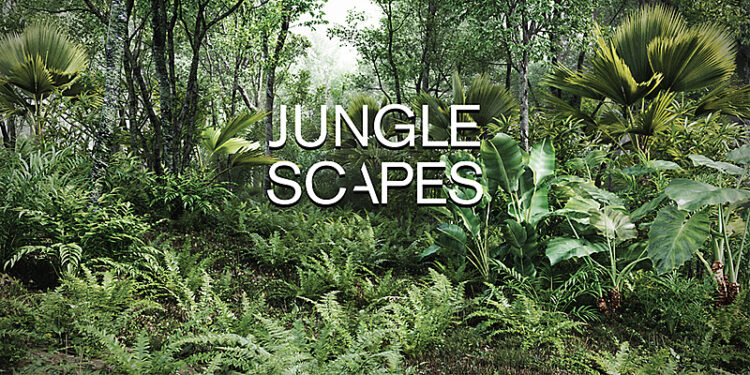 Blender Market – Jungle Scapes For Blender