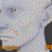 Blender Market Petik - Retopology Patch Maker v2.0.4