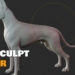 Blender Market Speedsculpt v0.2.9