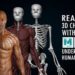 CGCircuit Realistic 3D Character with Zbrush