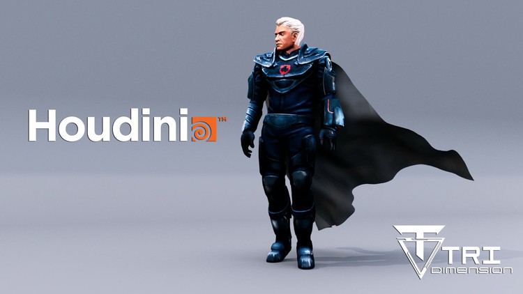 Complete Houdini FX 19.5 Course Beginner To Advanced By Tri Dimension Education