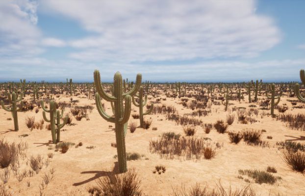 Create realistic game Cactus Optimized with Speedtree for UE By Lucas Anton-Gomez