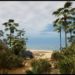 Fab - Beach and Coast Environment