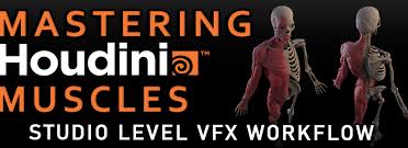 Flippednormals – Mastering Houdini Muscles – Studio