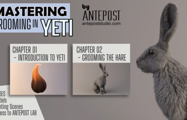 Gumroad – Antepost MASTERING GROOMING IN YETI