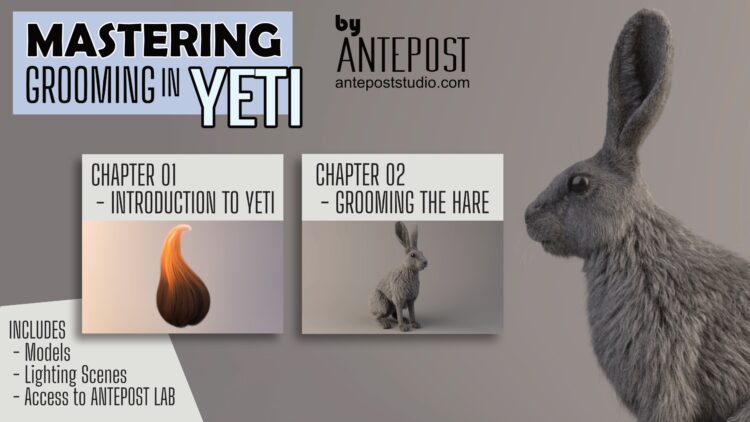 Gumroad – Antepost MASTERING GROOMING IN YETI