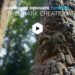 Gumroad - Tree Bark Creation - Substance Designer Tutorial
