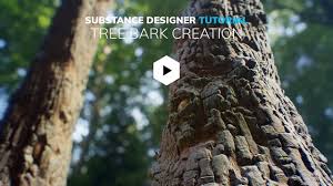 Gumroad – Tree Bark Creation – Substance Designer Tutorial