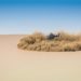 Learn to make Helicopter Dust in Houdini from Scratch By Sachin Singh