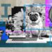 LinkedIn – Using AI Imagery for Illustration and Design