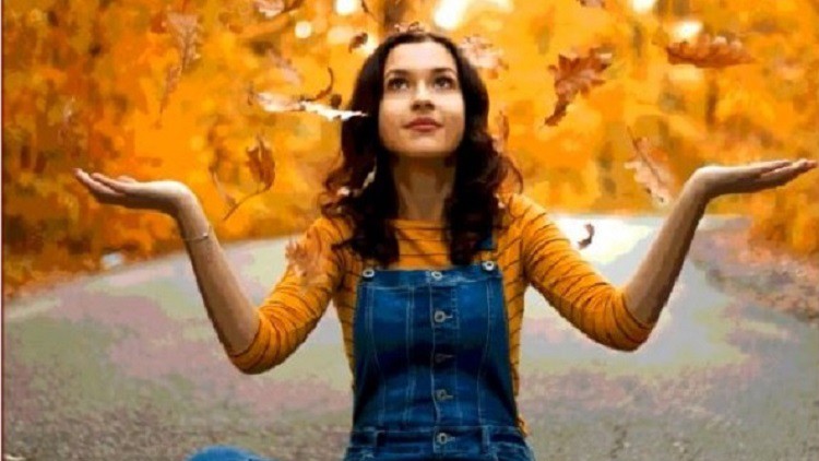 Photoshop for Beginners: Mastering the Basics By ZK Tutorials