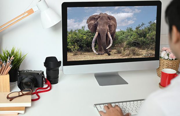 Photoshop for wildlife and nature photographers By Prashant Gupta