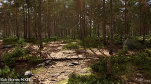 RB – RealBiomes Scots Pine Forest Biome