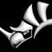 Rhinoceros 3D FULL Beginner to Advanced ZERO to HERO By Wassef Dabboussi