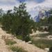 Unity Asset 2023 Mega Collection