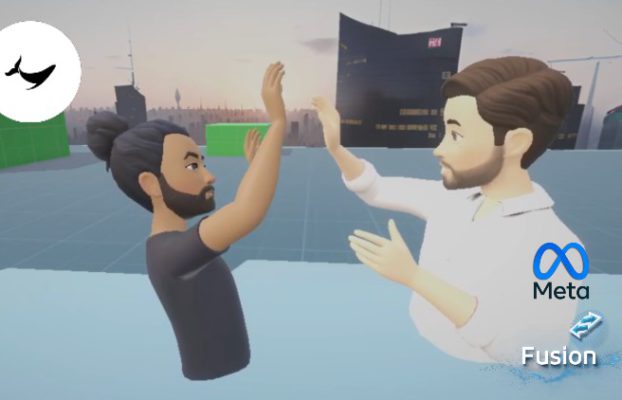 Unity VR Multiplayer Development (Oculus & Photon Fusion) By Black Whale Studio
