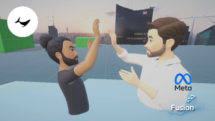 Unity VR Multiplayer Development (Oculus & Photon Fusion) By Black Whale Studio