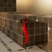 Unreal Engine 5.3 - Building a Traversal Parkour System By Braveior Studios
