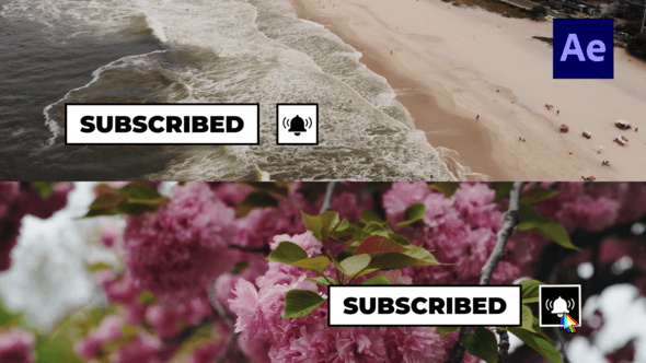 Videohive Social Media Buttons Lower Thirds /Ae