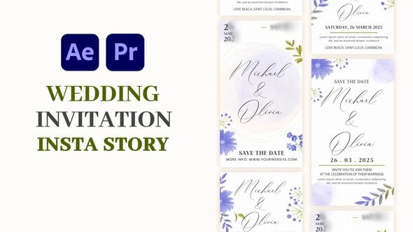 Videohive Wedding Invitation Instagram Story 58050078
