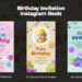 VideoHive Birthday Invitation Instagram Reels 47366291