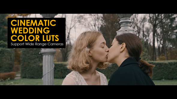 VideoHive Cinematic Wedding LUTs