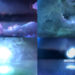 VideoHive Color Dance Logo Reveal for Premiere Pro 53645508