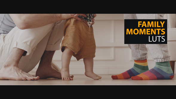 VideoHive Family Moments LUTs