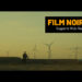 VideoHive Film Noir LUTs 42582420